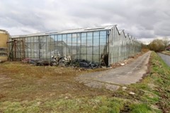 Tuinbouwbedrijf Achterdiep NZ Sappemeer foto 2.jpeg